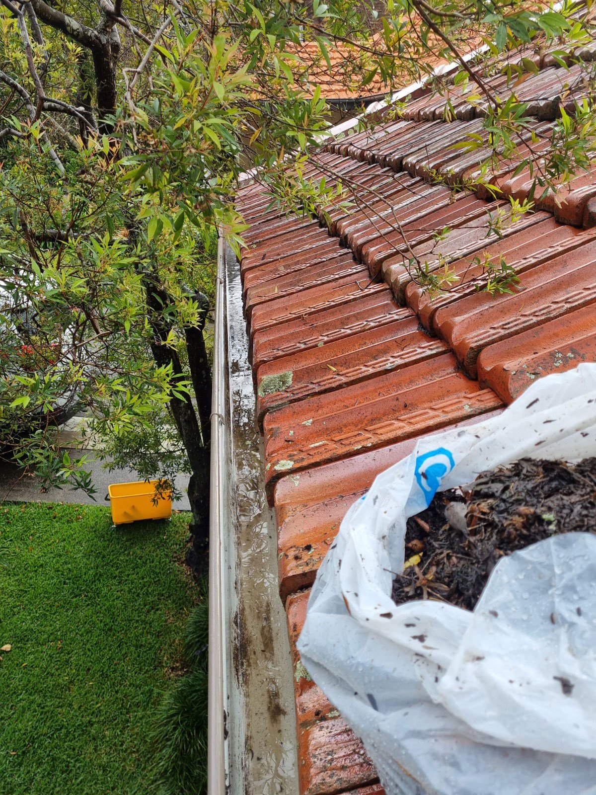 Professional gutter cleaning service