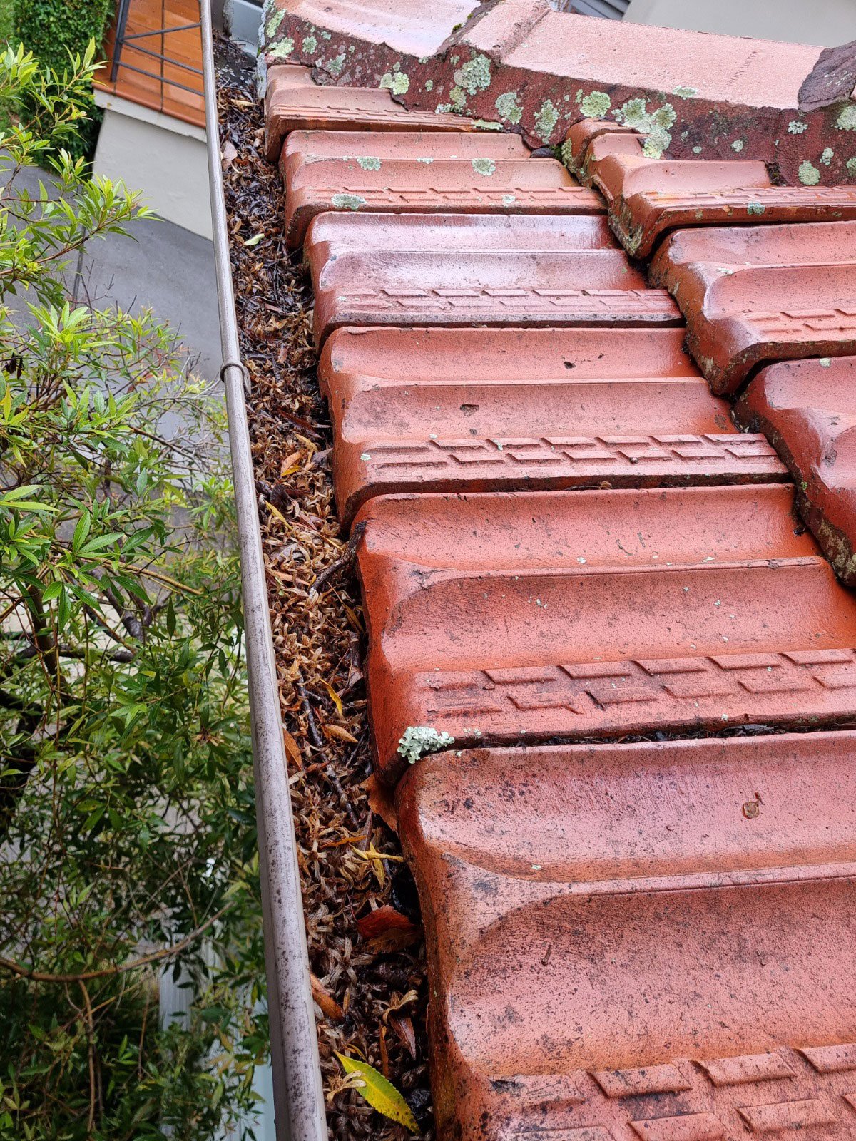Gutter cleaning equipment and process
