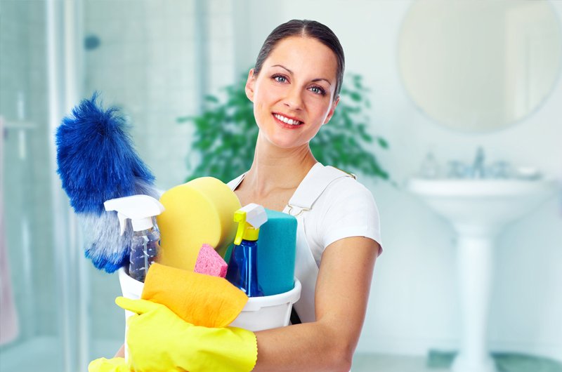 Professional window cleaning equipment